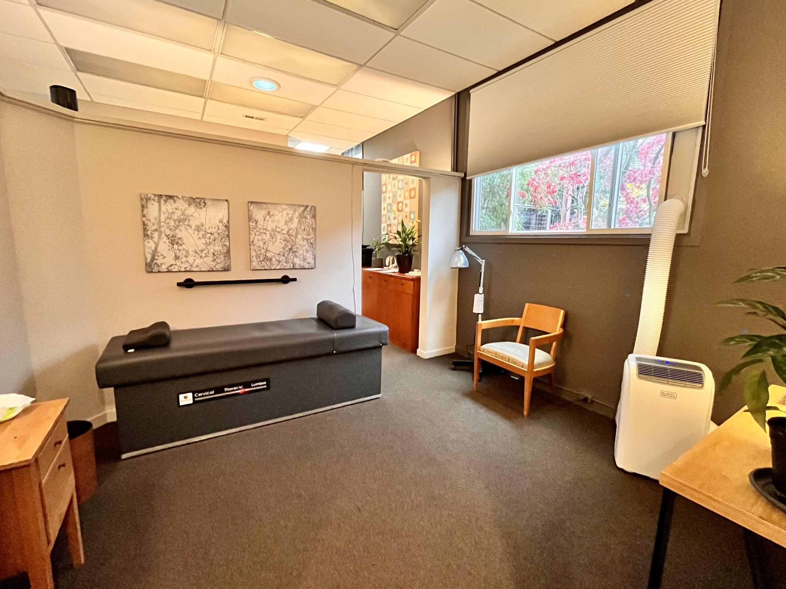 Growing/Thriving Practice for Sale