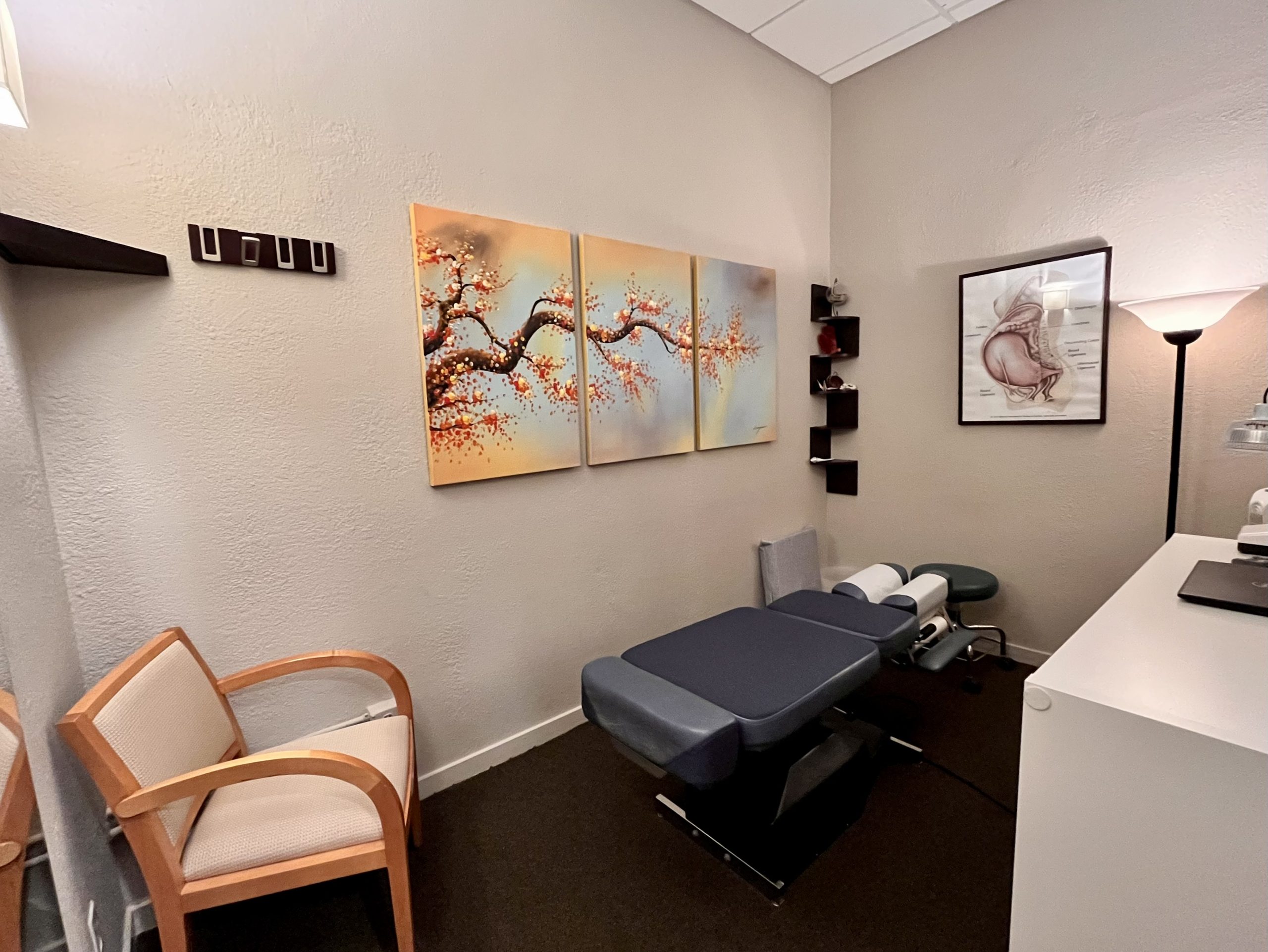 Growing/Thriving Practice for Sale