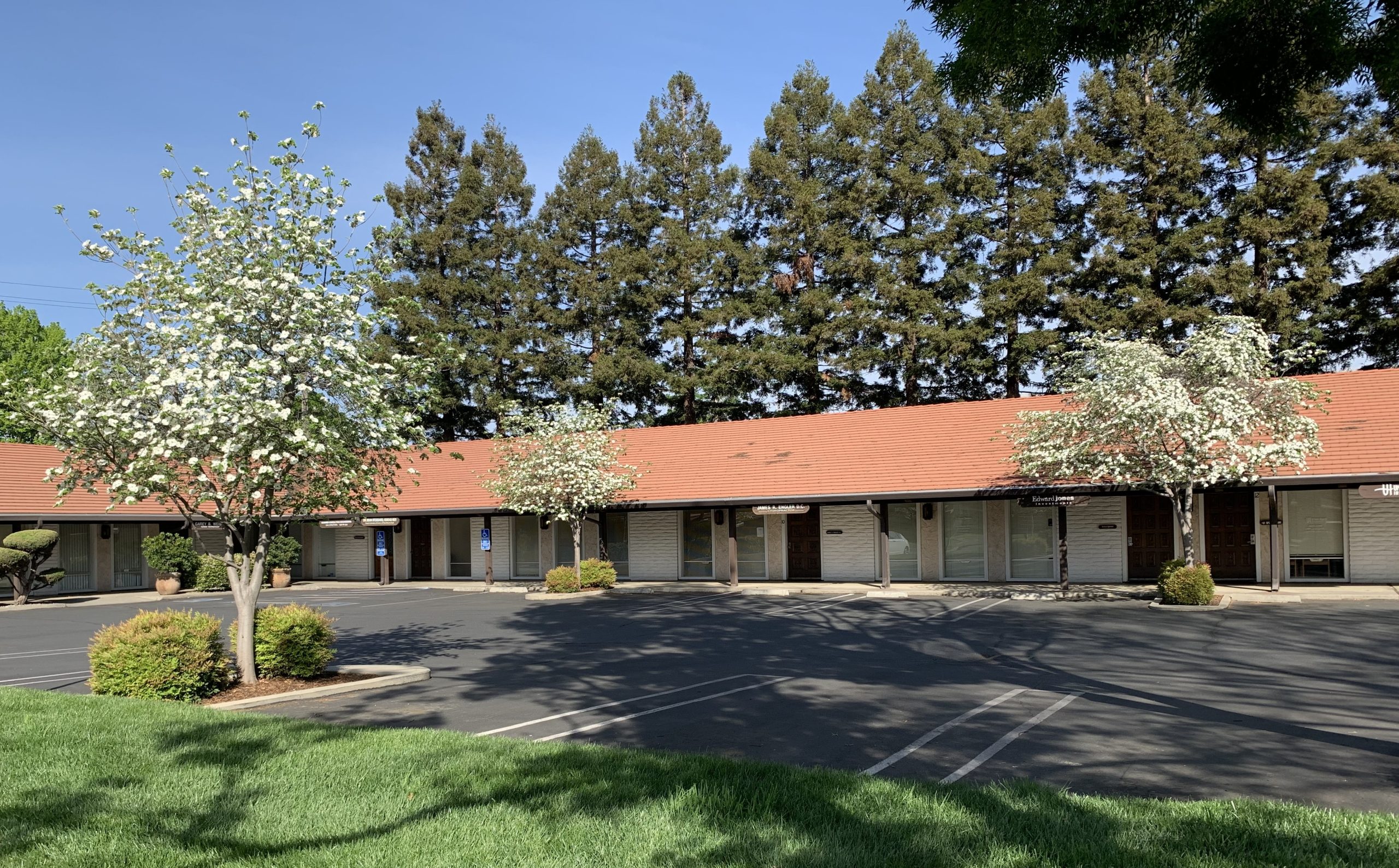 SUCCESSFUL CHICO PRACTICE FOR SALE