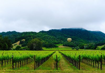 Santa-Rosa-CA-1