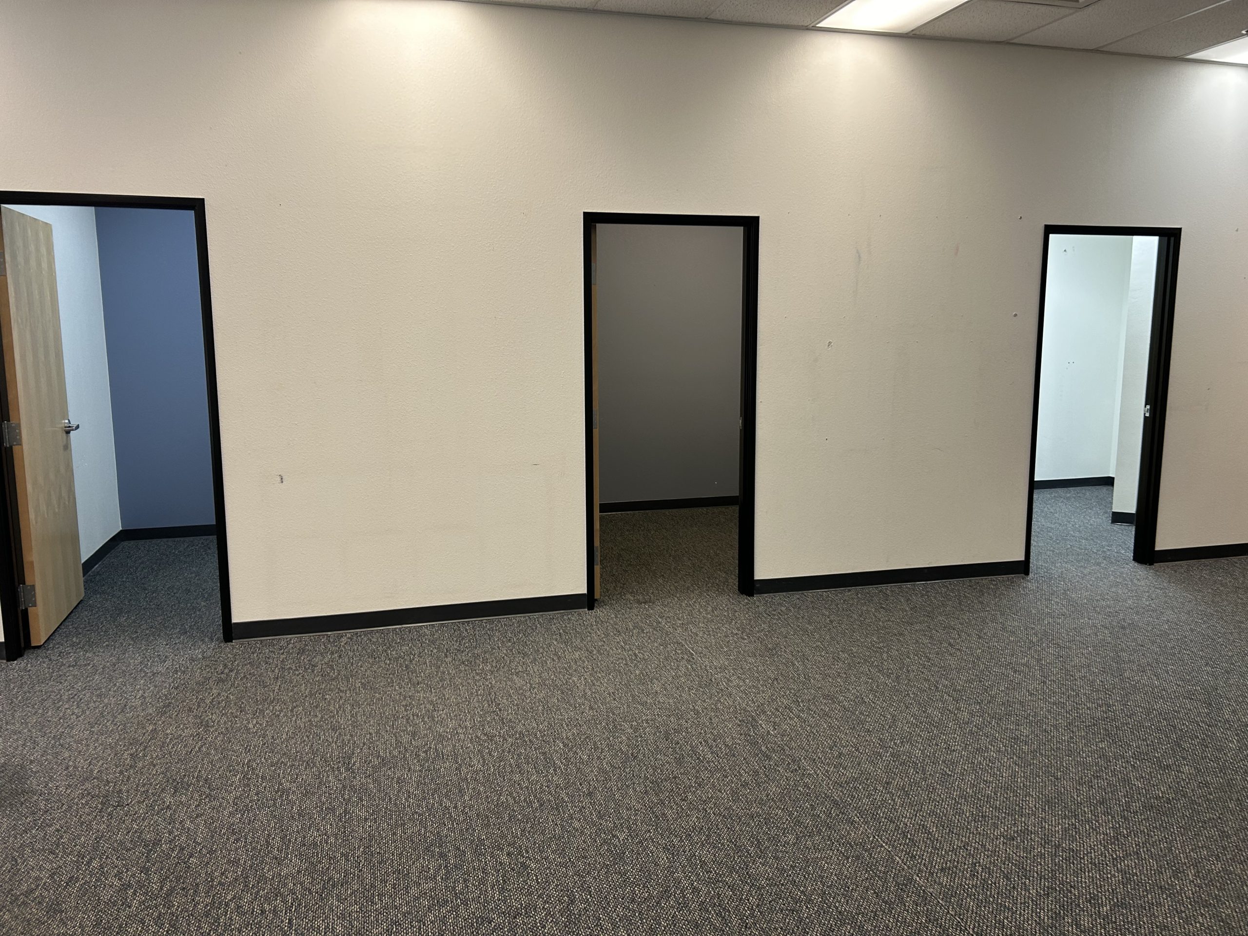 Chiropractic office for lease