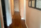 chiropractic office room available