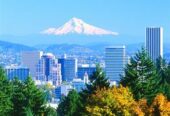 Portland OR Area Practice for Sale