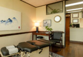 DALLAS TX CHIROPRACTIC PRACTICE