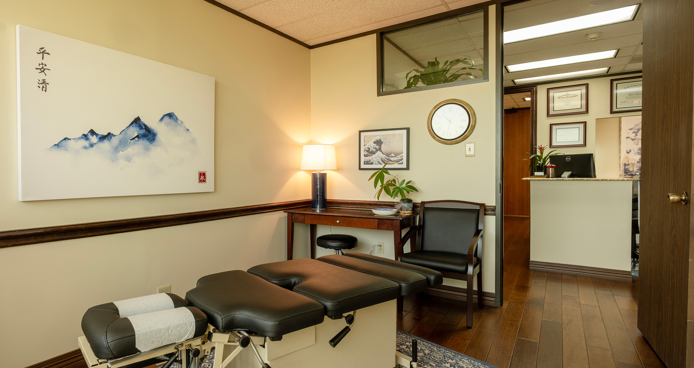 DALLAS TX CHIROPRACTIC PRACTICE