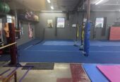 28 year wellness practice in WI