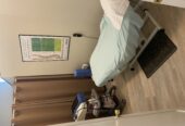 Chiropractic Associate Wanted